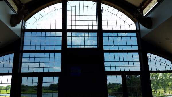 Benefits of Using a Decorative Window Film