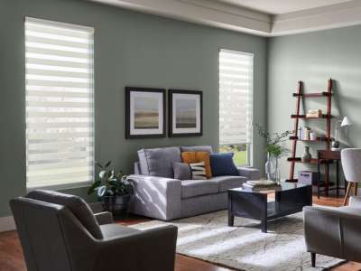 Dual Shades for Living Room